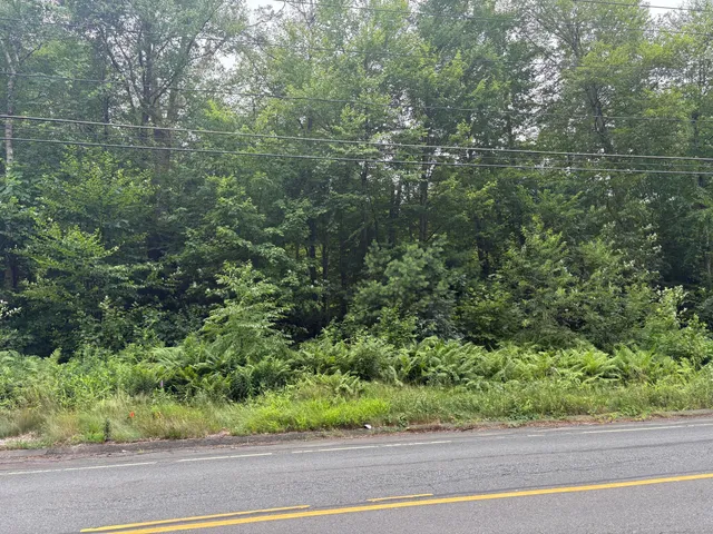 a view of a yard from a window