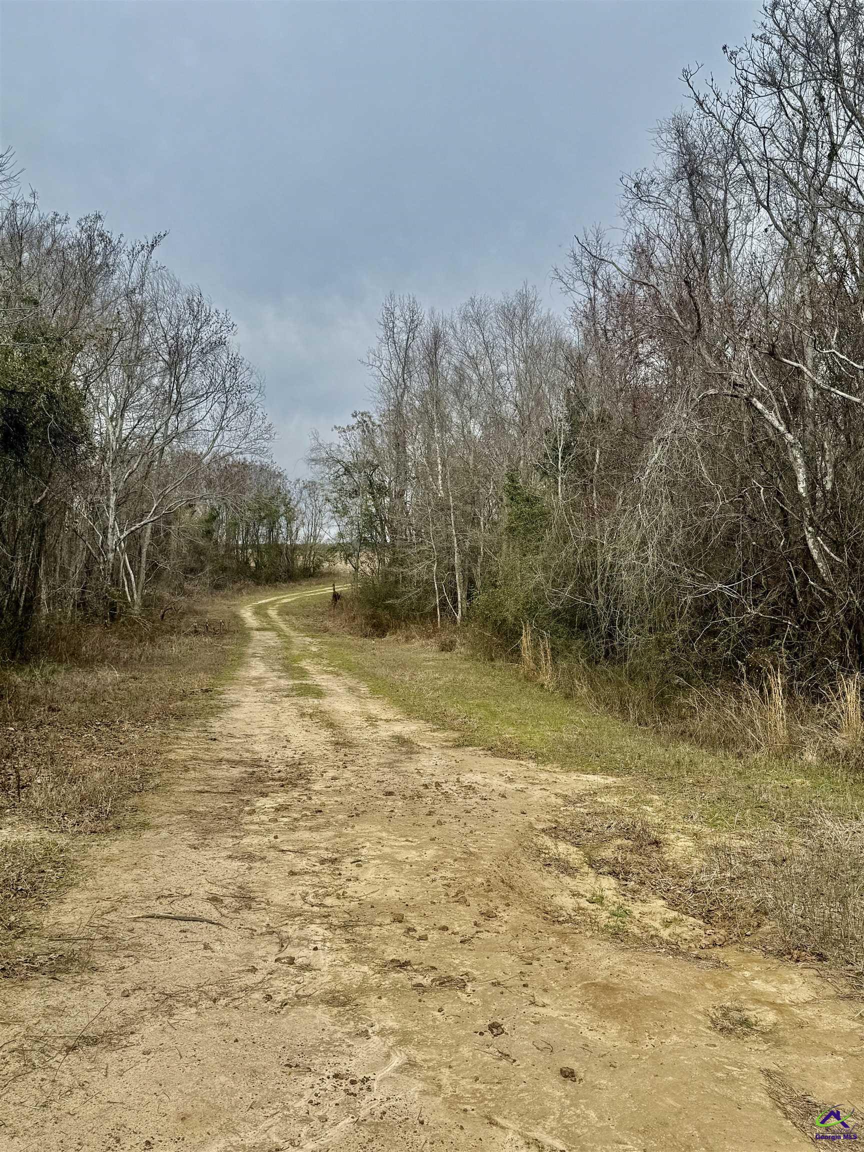 0 Whitfield Road Elko, GA 31025 - Photo 4 of 5