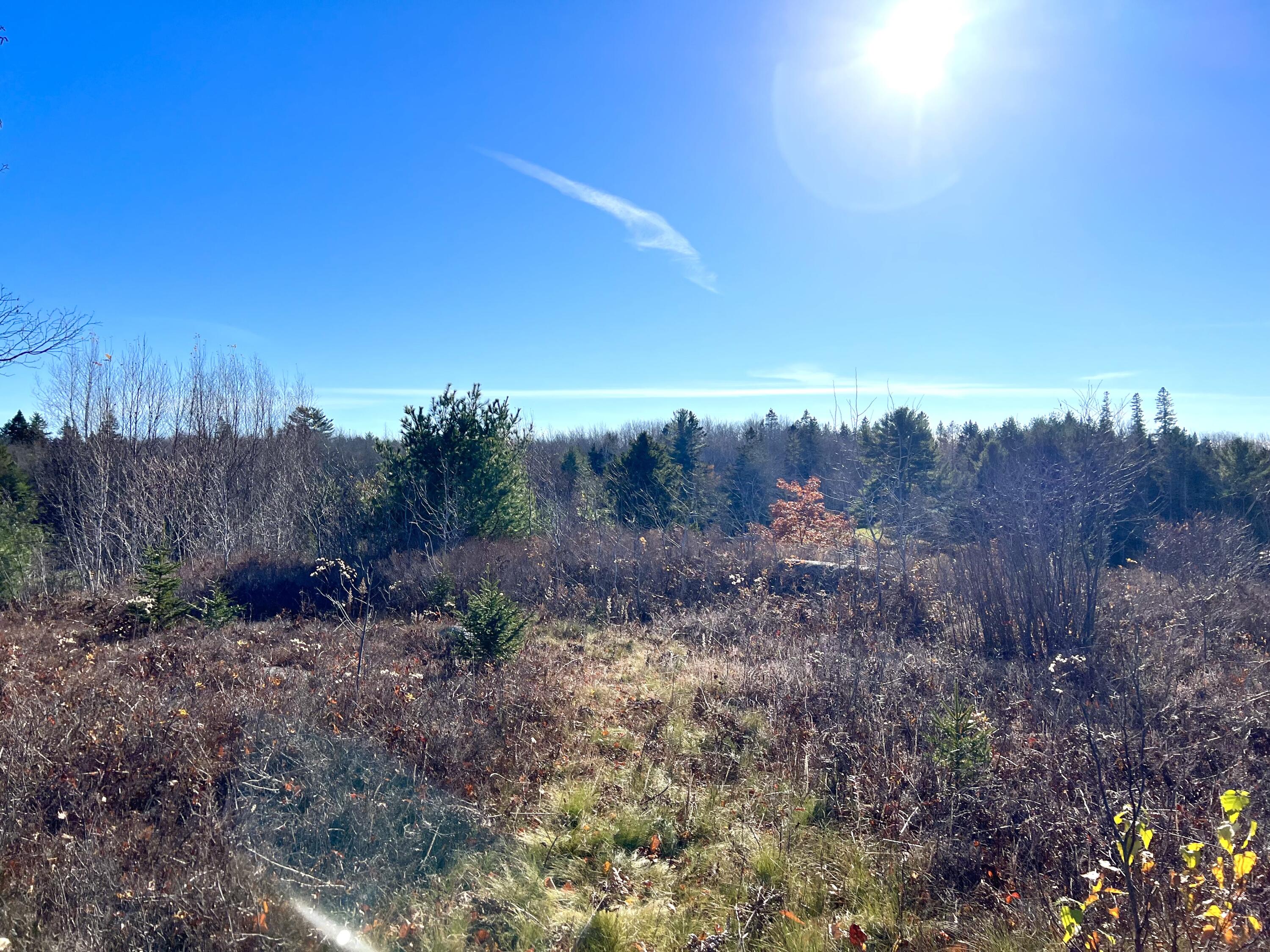 06 Tide Mill Road Steuben, ME 04680 - Photo 11 of 16 IMG-0797