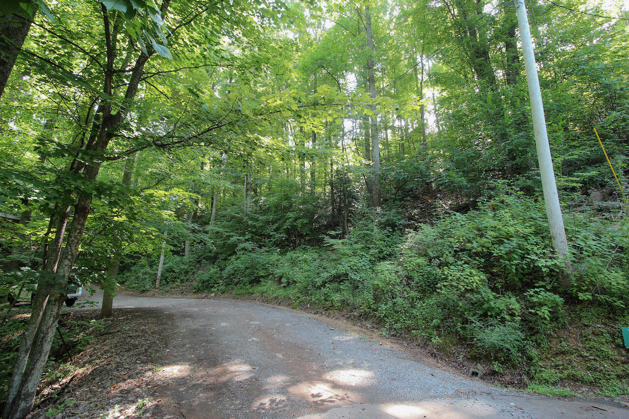 Lot 826 Orchard Drive Sevierville, TN 37876 - Photo 1 of 7 7259BA6D-2580-4FF9-BB59-CB3C86C4DB00
