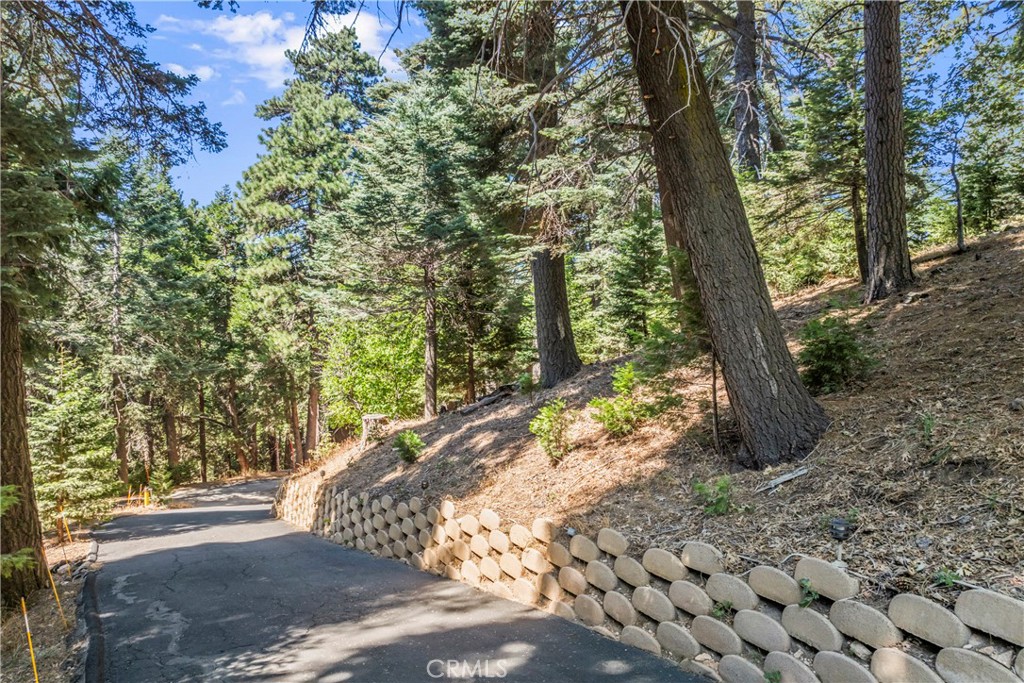 899 Blue Ridge Drive Lake Arrowhead, CA 92385 - Photo 43 of 49 a view of a yard with plants and trees