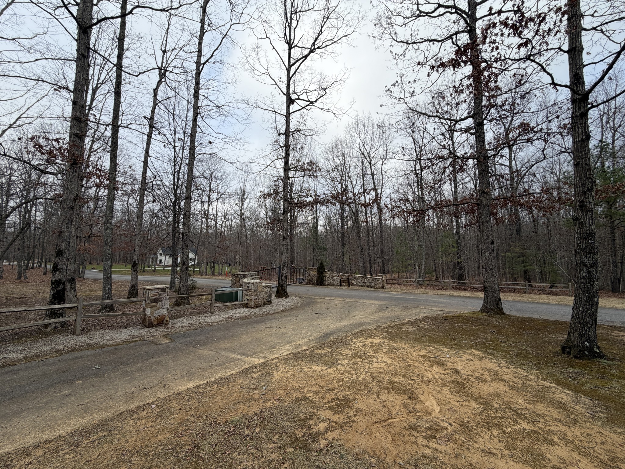 2095 Lake Louisa Loop Monteagle, TN 37356 - Photo 23 of 48 a backyard of a house with lots of trees