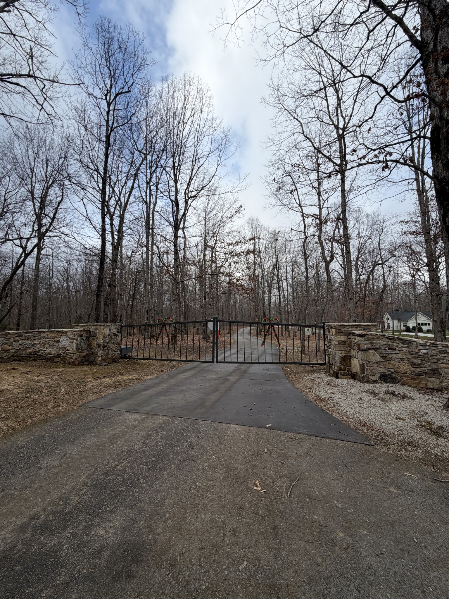2095 Lake Louisa Loop Monteagle, TN 37356 - Photo 24 of 48 a view of dirt yard with a large tree