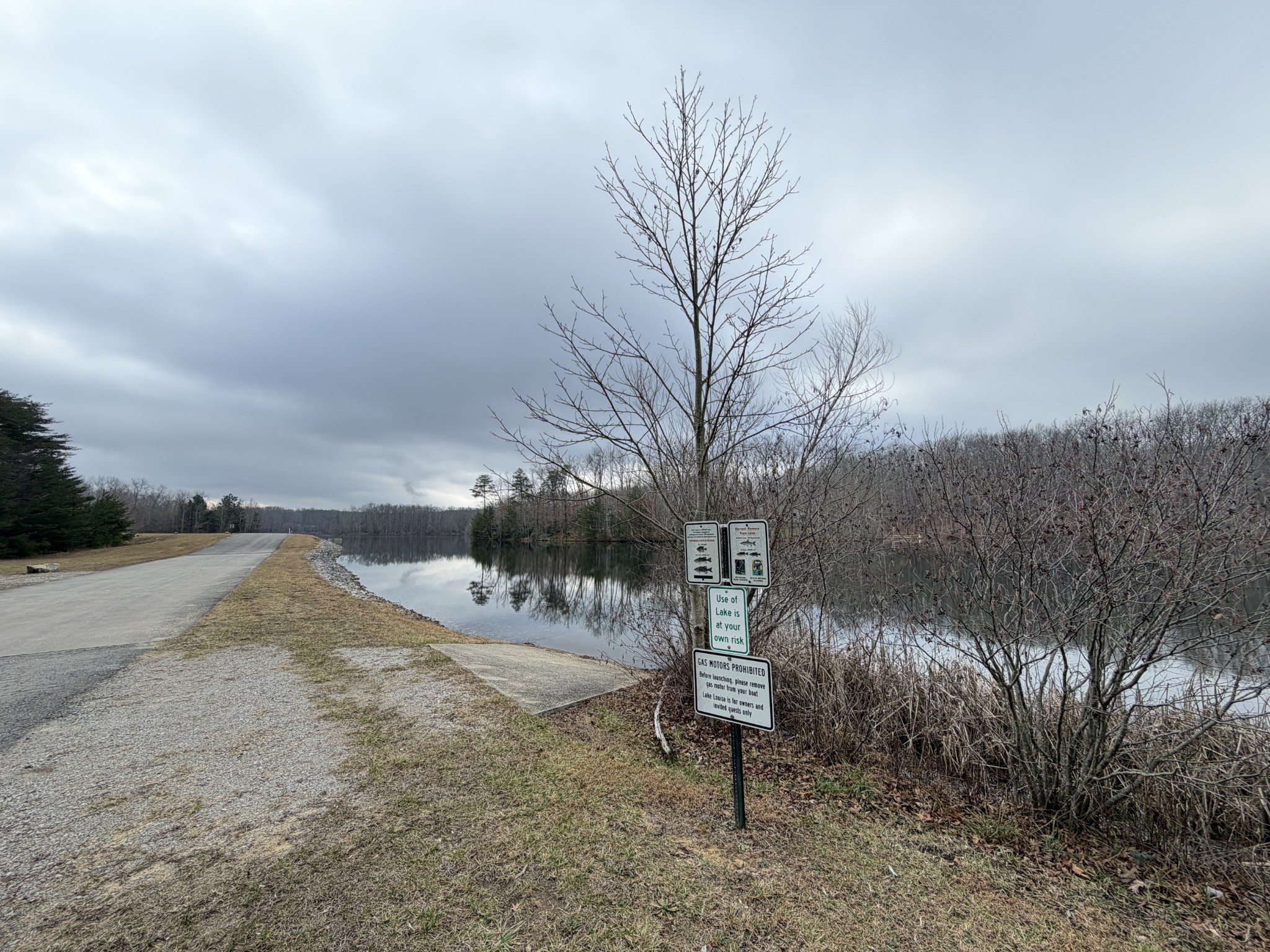 2095 Lake Louisa Loop Monteagle, TN 37356 - Photo 26 of 48 a road view with large trees