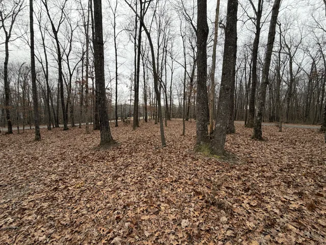 $720,000 | 2095 Lake Louisa Loop, Monteagle, TN 37356