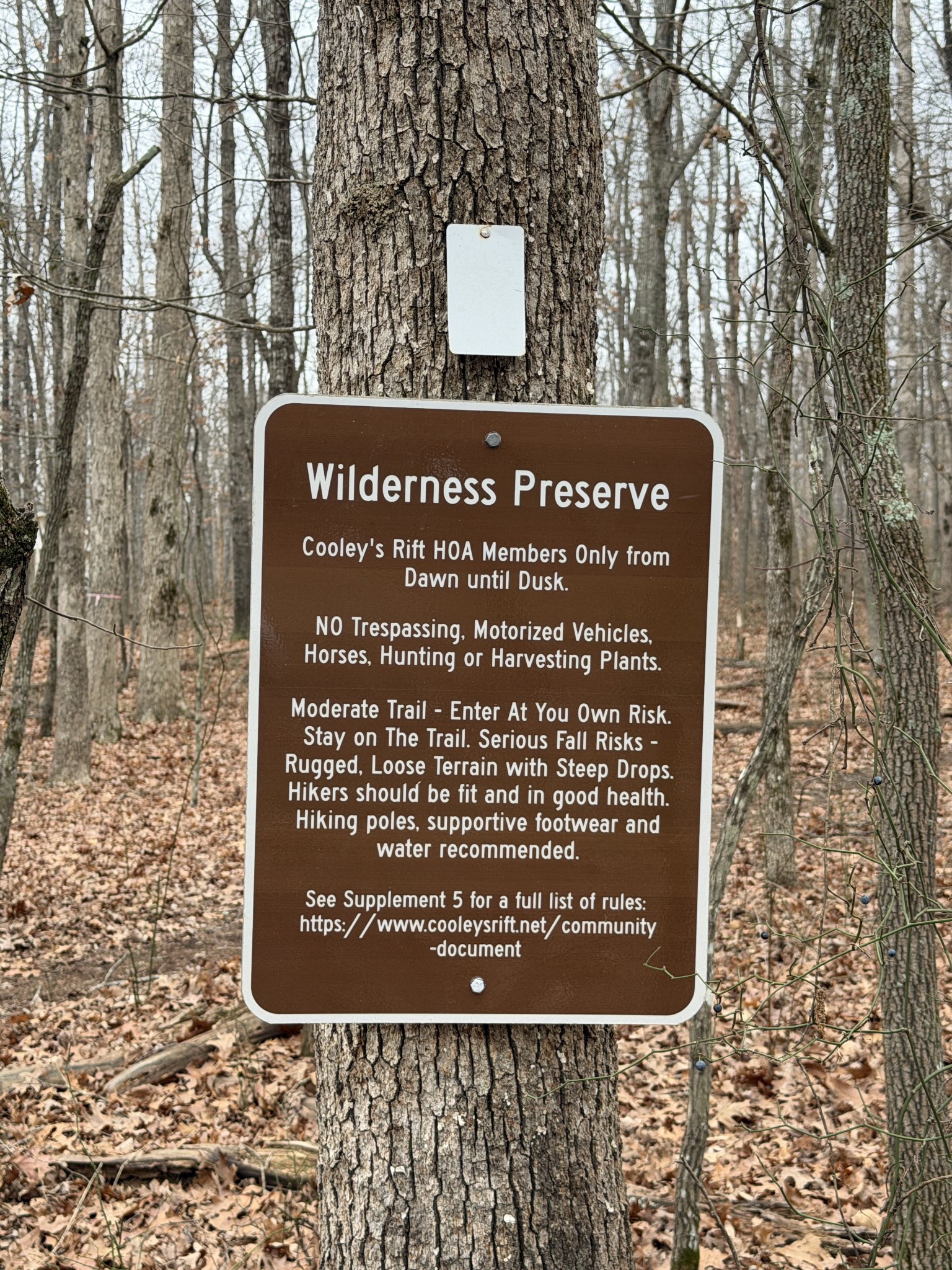 2095 Lake Louisa Loop Monteagle, TN 37356 - Photo 43 of 48 unknown