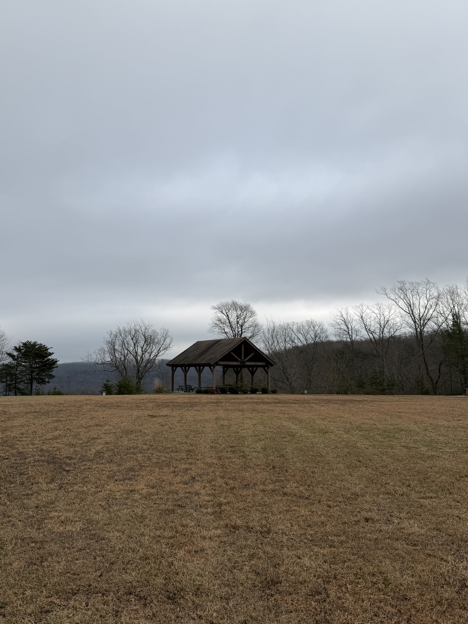 2095 Lake Louisa Loop Monteagle, TN 37356 - Photo 44 of 48