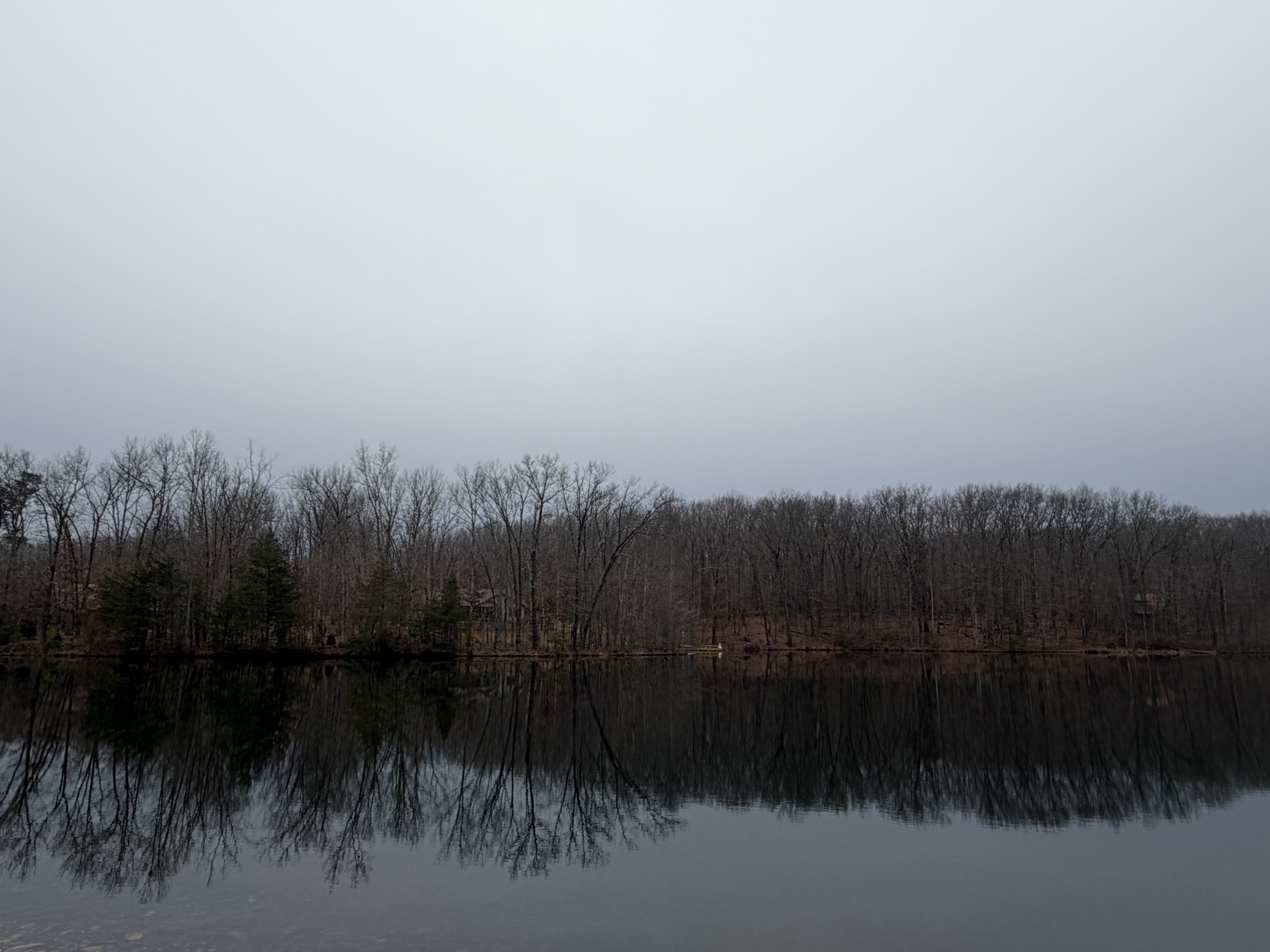 2095 Lake Louisa Loop Monteagle, TN 37356 - Photo 45 of 48 a view of residential houses with a lake