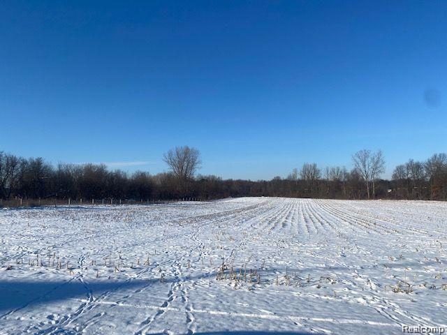 V/l Stewart Road Lapeer, MI 48446 - Photo 3 of 6