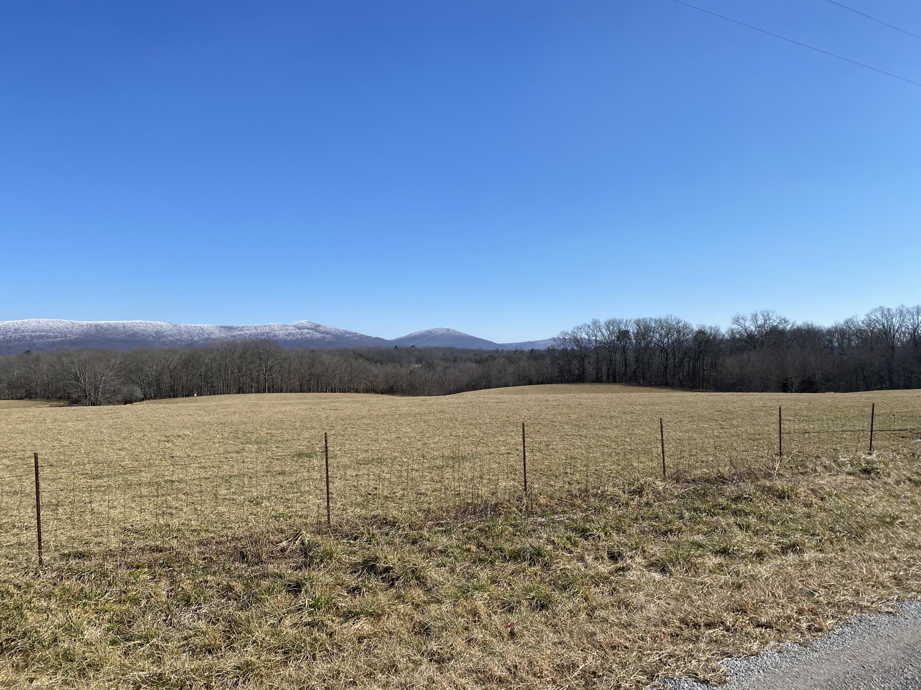 14 Winningham Road Crossville, TN 38572 - Photo 5 of 10 DA43A33E-0D59-4D5E-9FD9-131249D3F2E5