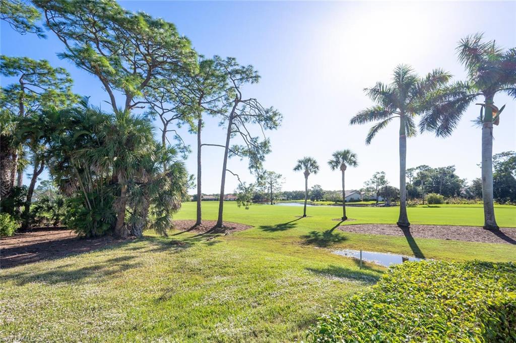 640 Augusta Boulevard Naples, FL 34113 - Photo 29 of 29 a view of swimming pool with a yard and palm trees
