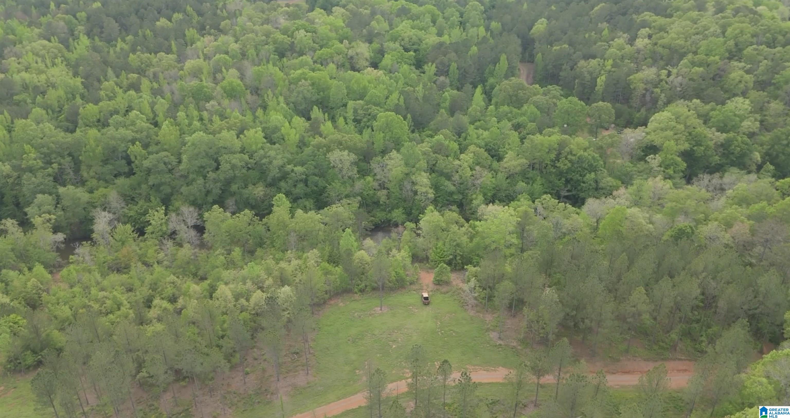 1051 Pate Road, Unit TRACT 5 AND 6 Cragford, AL 36255 - Photo 23 of 34