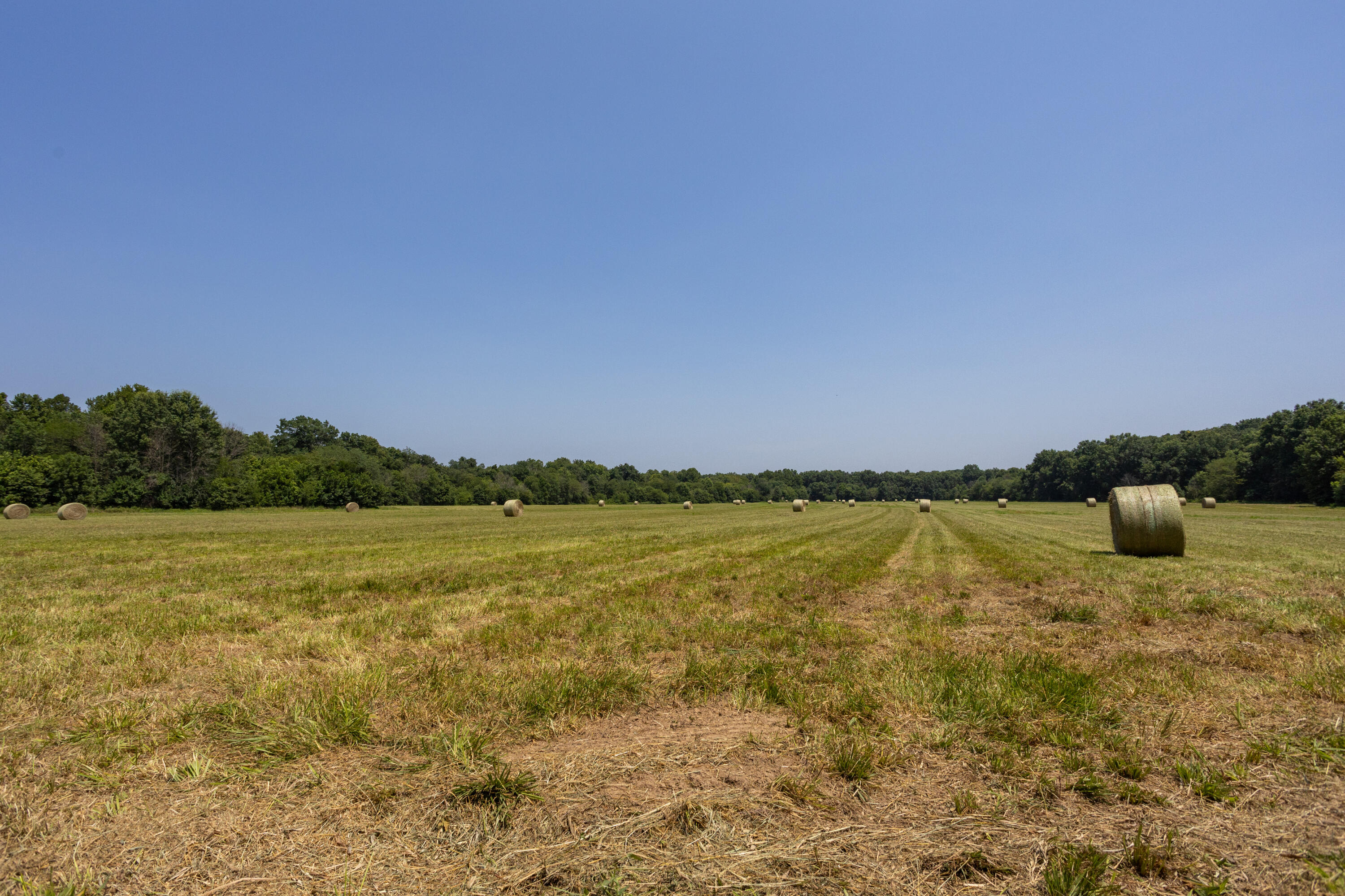 1059 Northeast 100th Road Lamar, MO 64759 - Photo 108 of 119 Barton290(MLSRES)-21