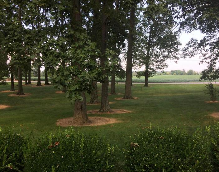 4587 Powell Road Marion, OH 43302 - Photo 69 of 82