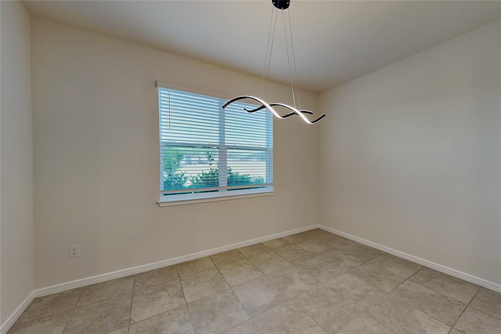 20781 Monza Loop Land O Lakes, FL 34638 - Photo 4 of 19