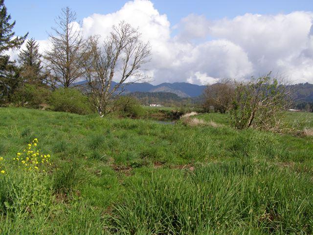 Vl Hadley Road North Tillamook, OR 97141 - Photo 12 of 18 Prop3.JPG