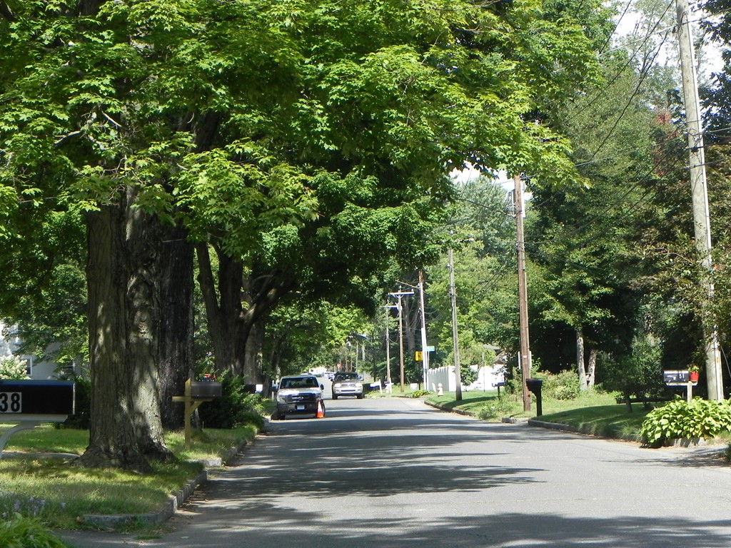 35 Senator Street Springfield, MA 01129 - Photo 14 of 14