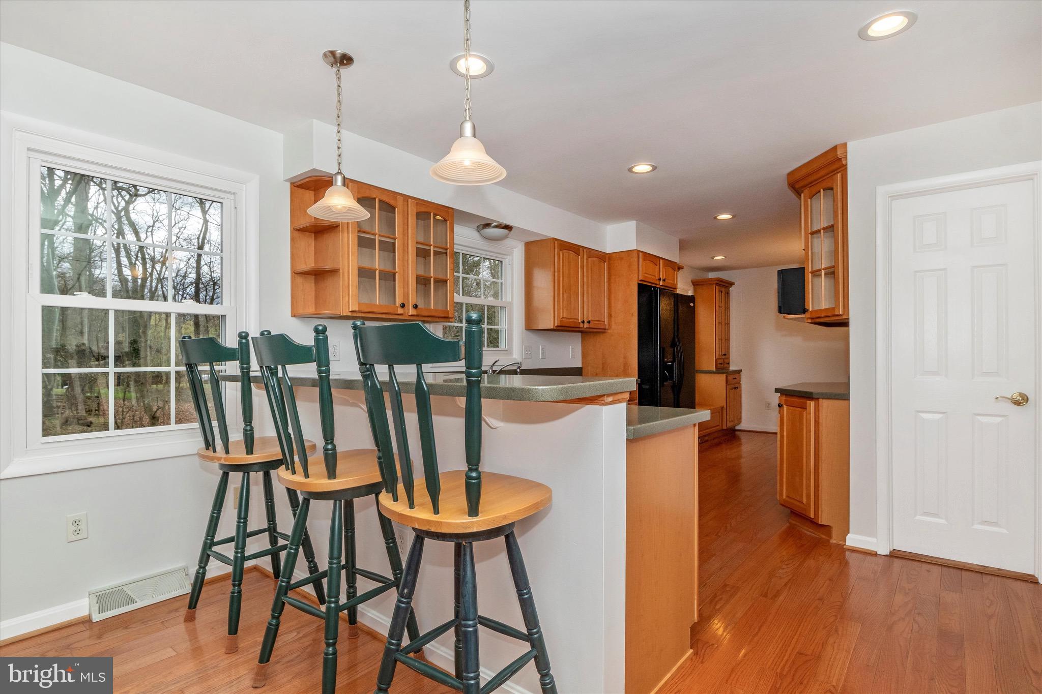 9509 Pamplona Road Columbia, MD 21045 - Photo 16 of 54 Gallery Image 16