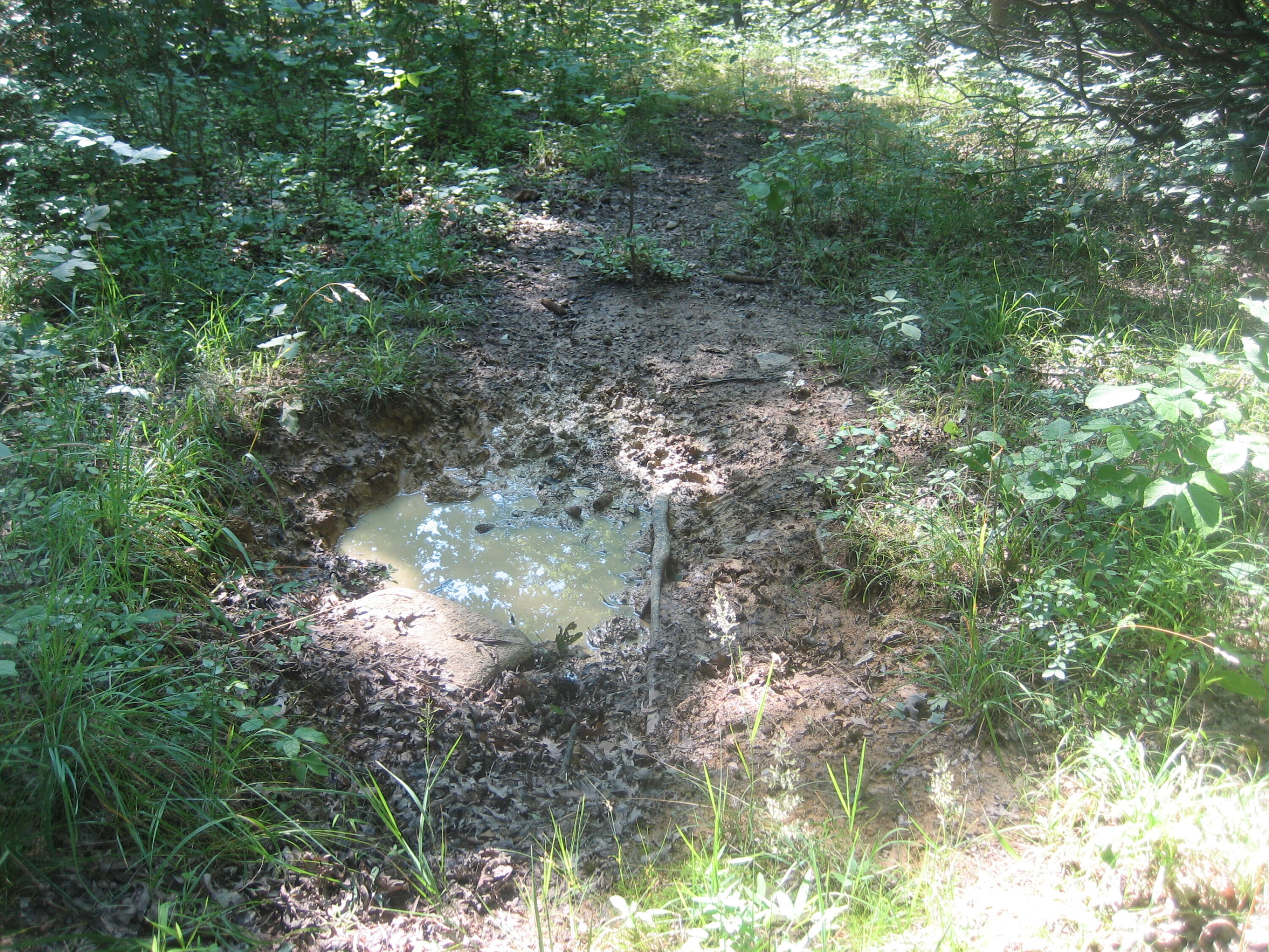 511 Saylor Point Road Corinth, KY 41010 - Photo 6 of 22 IMG_0555