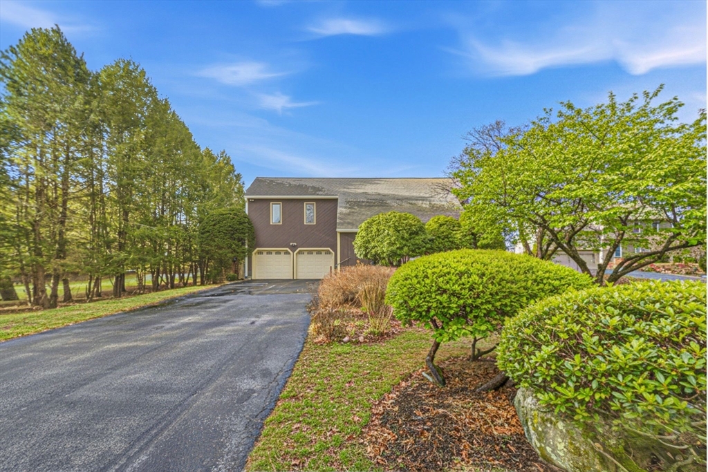 6 Montaup Road, Unit 6 Sharon, MA 02067 - Photo 2 of 35 a view of a yard with plants and large trees