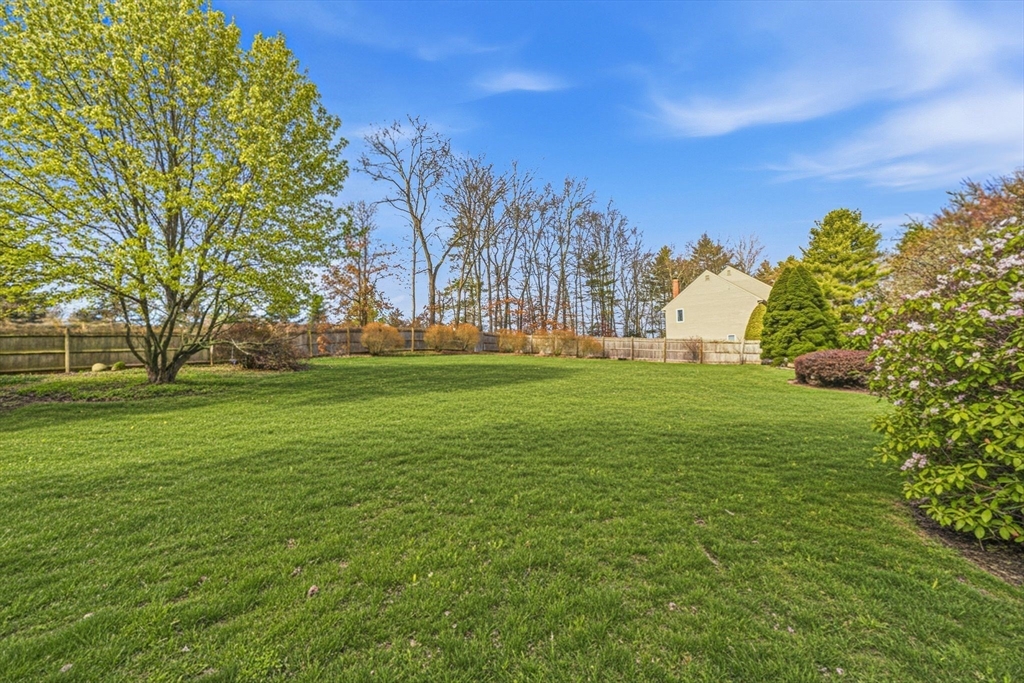 6 Montaup Road, Unit 6 Sharon, MA 02067 - Photo 33 of 35 a view of a field with an trees