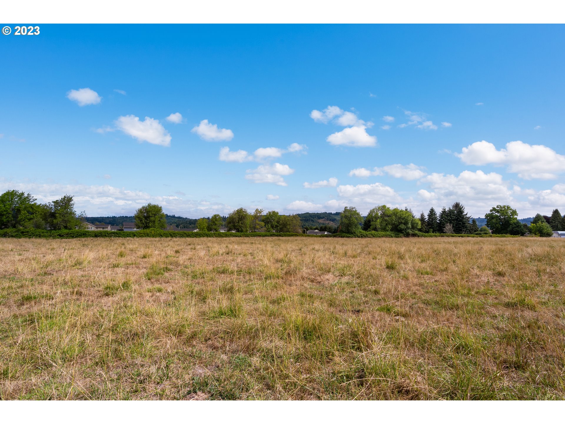 5431 Mt Solo Road Longview, WA 98632 - Photo 18 of 32 a view of lake and mountain