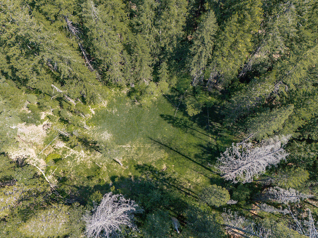 761 Gratten Flat Road Trinity Center, CA 96091 - Photo 33 of 58 DJI_20260514152319_0083_D
