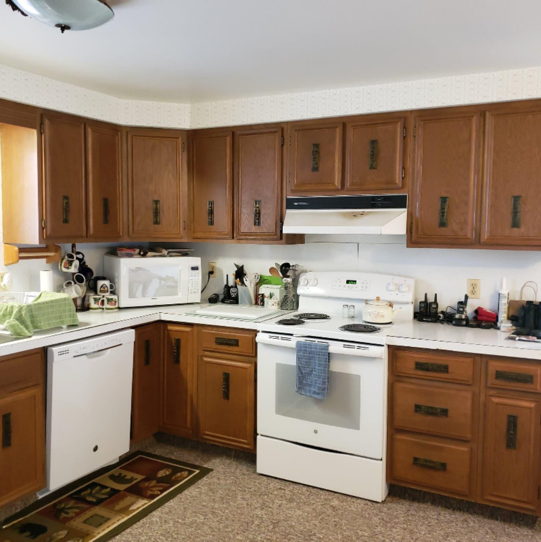 8739 O Brien Road Hubbardston, MI 48845 - Photo 24 of 41 118473537_336196070858060_36130589565711