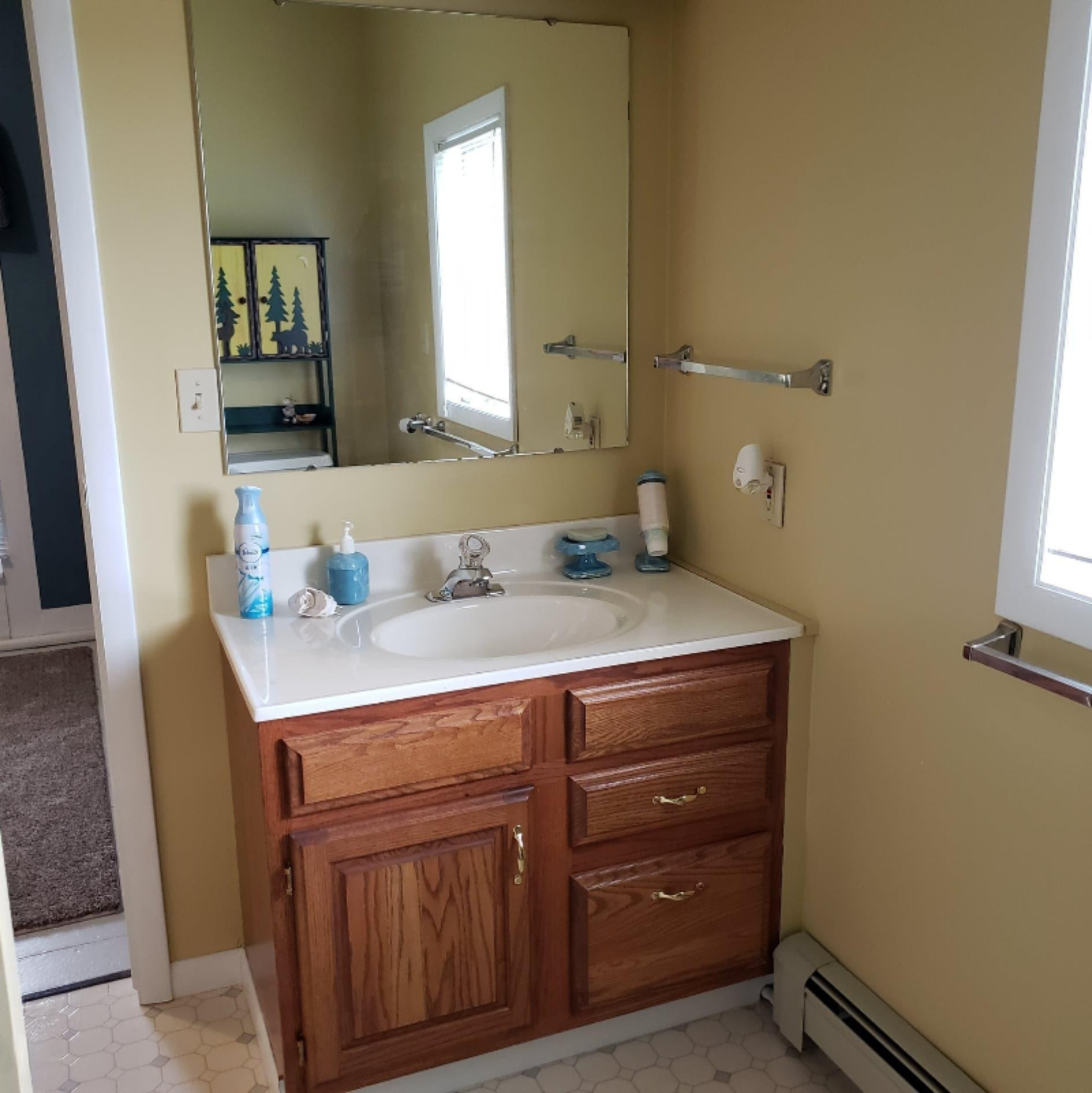 8739 O Brien Road Hubbardston, MI 48845 - Photo 34 of 41 118473538_3026678487561904_1447028101411