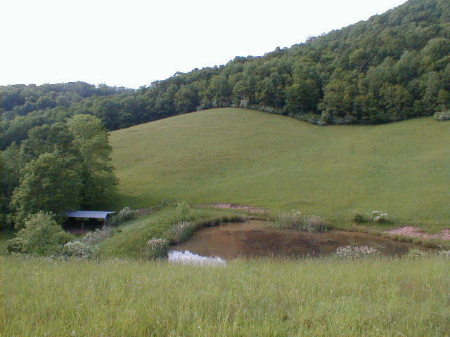 248 Somerset Farm Road Meadow Bridge, WV 25976 - Photo 60 of 98 Gallery Image 60