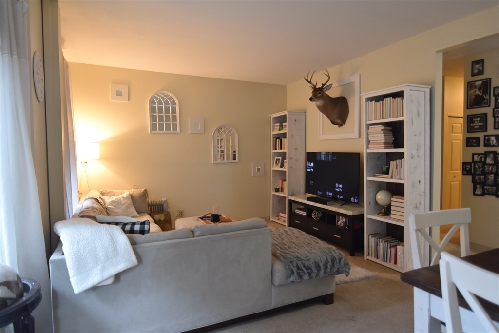 5 Royce Road, Unit 6 Boston, MA 02134 - Photo 6 of 16