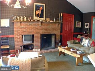 107 Center School Road Perkasie, PA 18944 - Photo 7 of 12 Fireplace