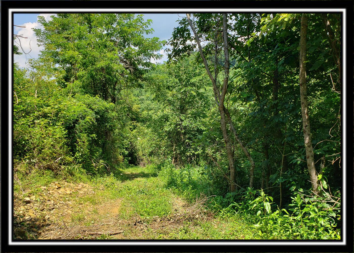 0 Bethel Road, Unit TRACT 4 Patriot, OH 45658 - Photo 19 of 35 CT-19