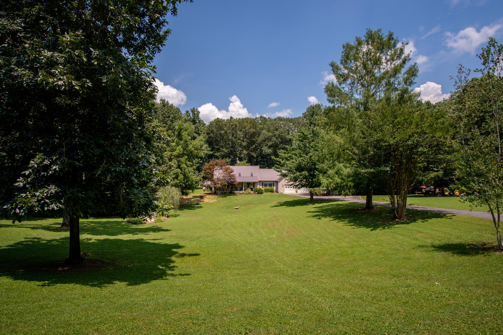 82 Old Decker Road Bronston, KY 42518 - Photo 5 of 63 KXT20007