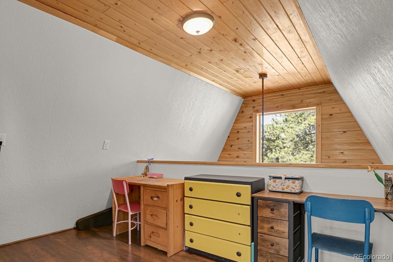 881 Trail Creek Road Lake George, CO 80827 - Photo 23 of 46