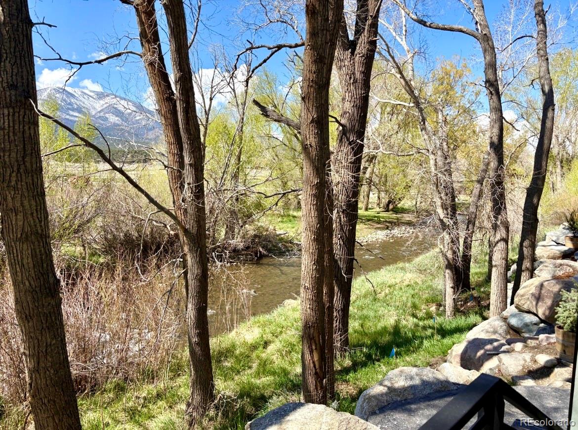 205 Two Rivers Road, Unit G Salida, CO 81201 - Photo 26 of 29 a view of backyard with plants and a large tree