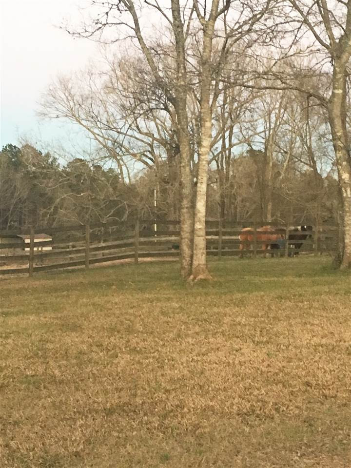 3000 Owens Road Terry, MS 39170 - Photo 10 of 23 Photo 11