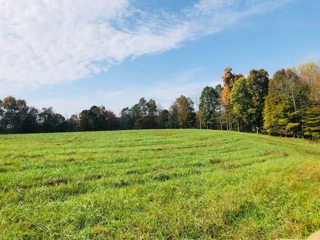 215 Abrell Road Columbia, KY 42728 - Photo 1 of 1 Gallery Image 1