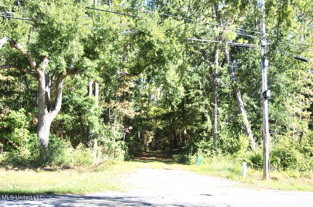 9630 West Oaklawn Road Biloxi, MS 39532 - Photo 11 of 57 Hiking Trail into the Property