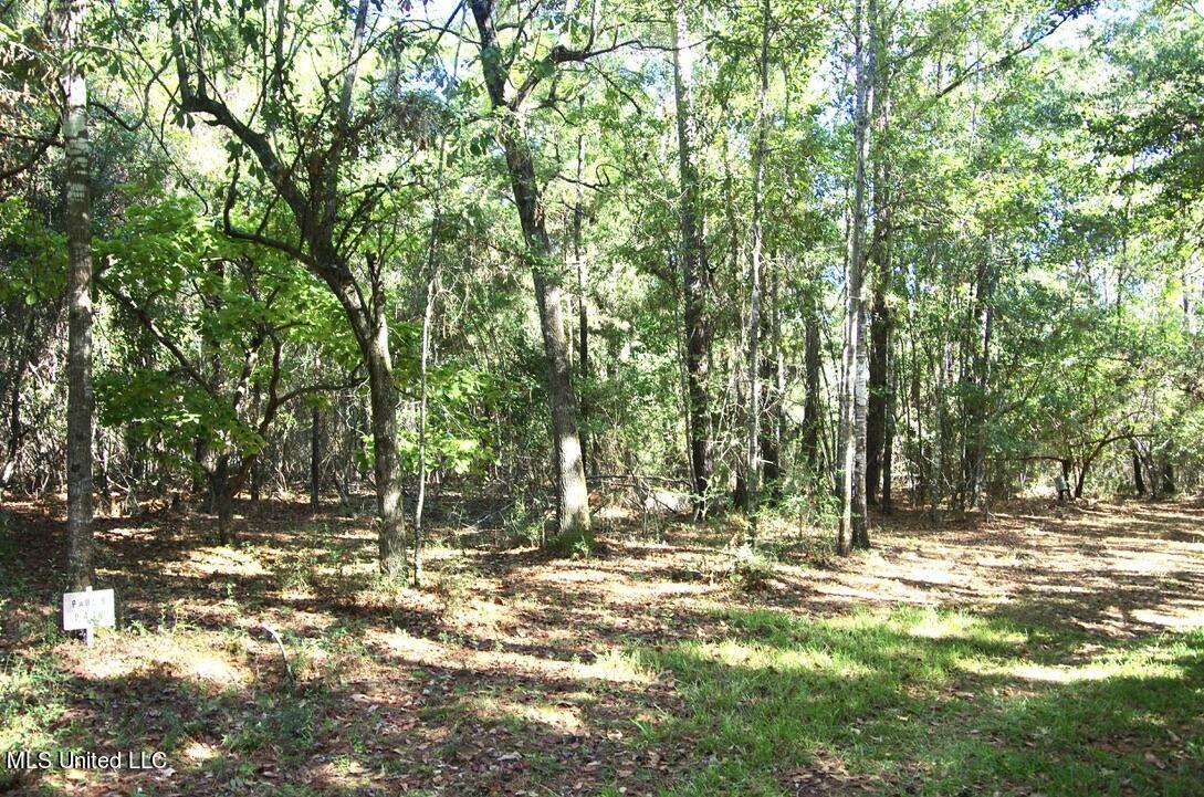 9630 West Oaklawn Road Biloxi, MS 39532 - Photo 12 of 57 Property View