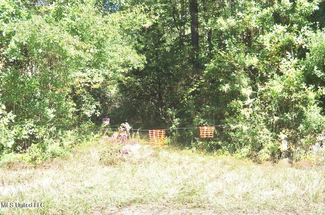 9630 West Oaklawn Road Biloxi, MS 39532 - Photo 19 of 57 Trail going into the end of property