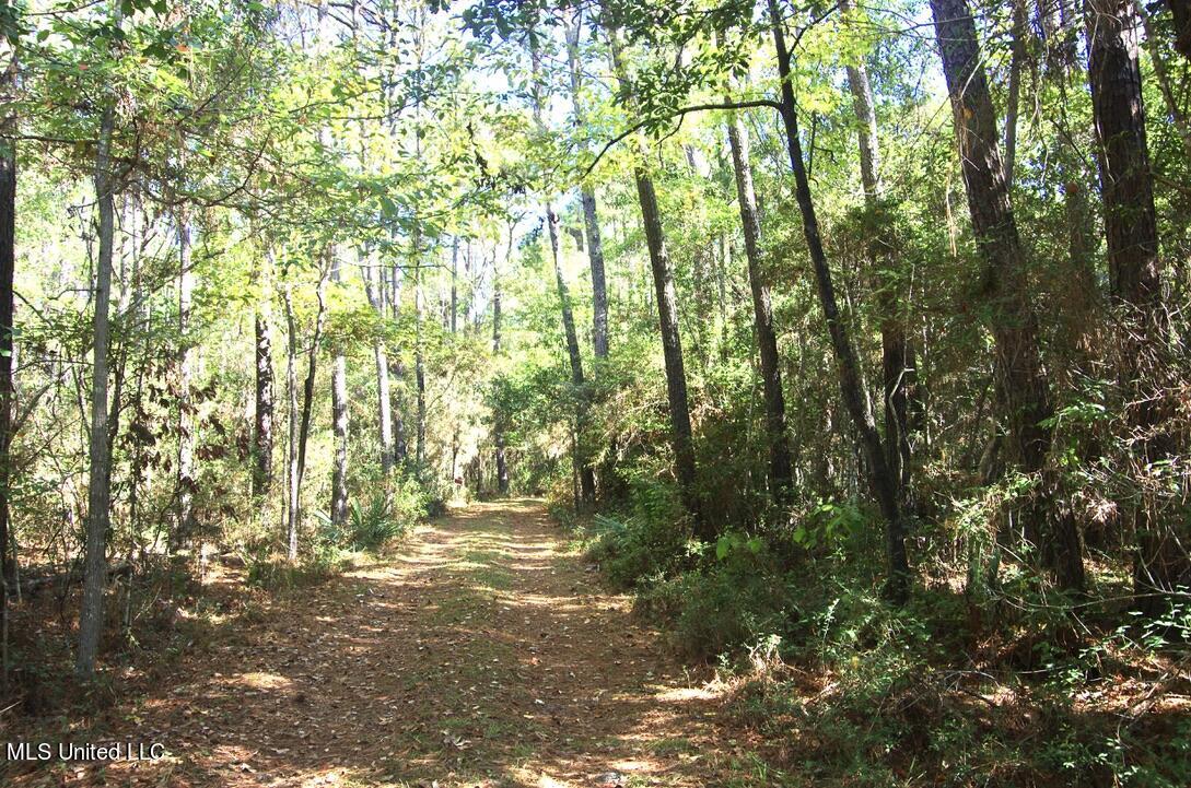 9630 West Oaklawn Road Biloxi, MS 39532 - Photo 2 of 57 Hiking Trail into the Property