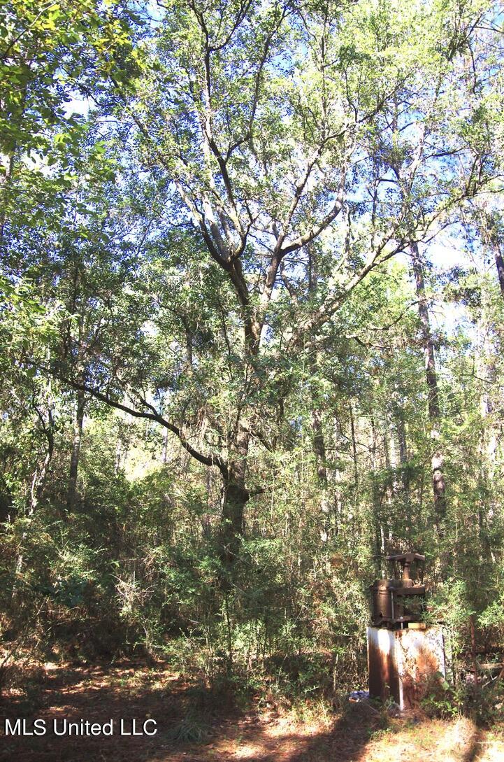 9630 West Oaklawn Road Biloxi, MS 39532 - Photo 22 of 57 Ancient Oaks through out