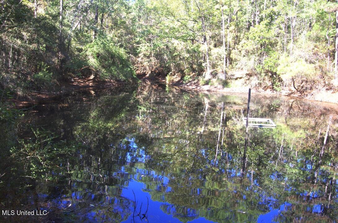 9630 West Oaklawn Road Biloxi, MS 39532 - Photo 23 of 57 Big Pond