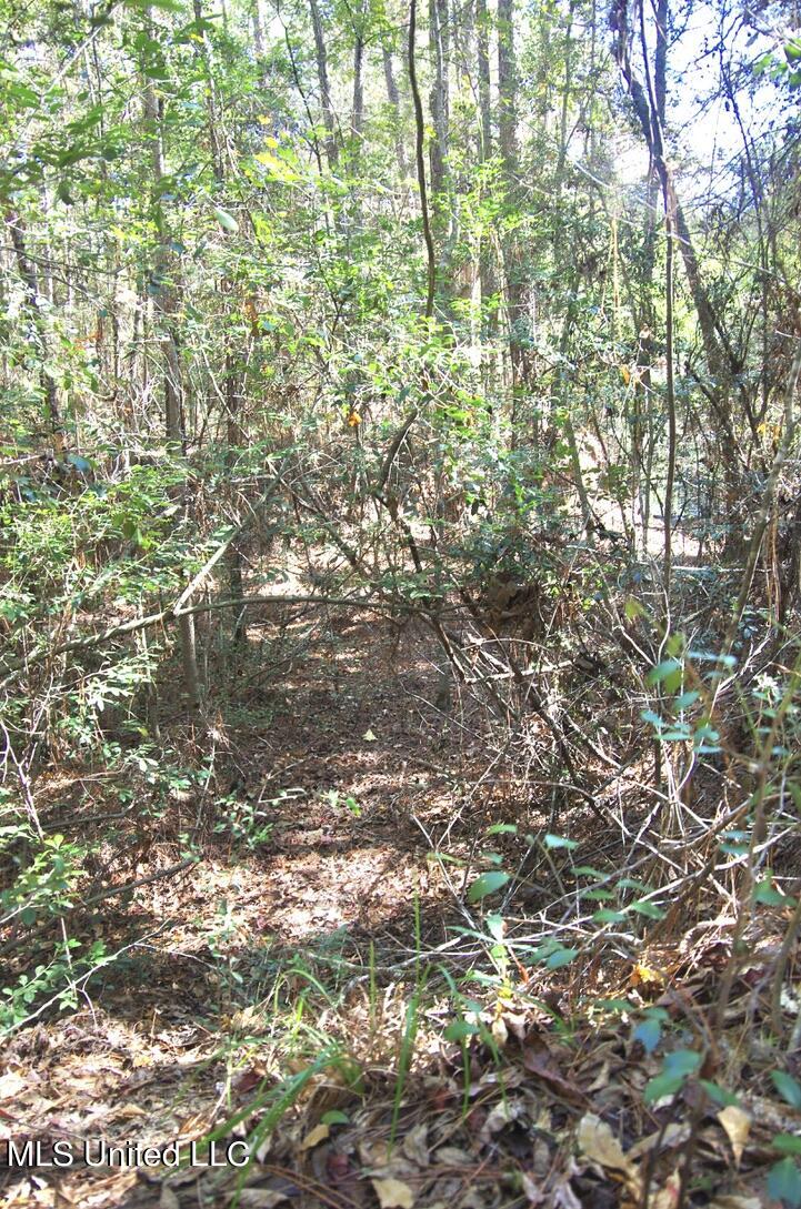 9630 West Oaklawn Road Biloxi, MS 39532 - Photo 24 of 57 Land View