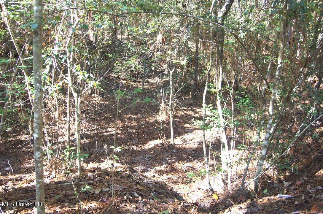9630 West Oaklawn Road Biloxi, MS 39532 - Photo 25 of 57 Land View