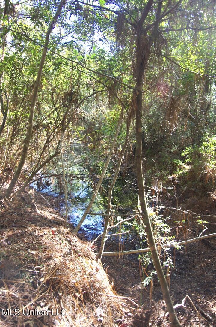 9630 West Oaklawn Road Biloxi, MS 39532 - Photo 26 of 57 Big Pond