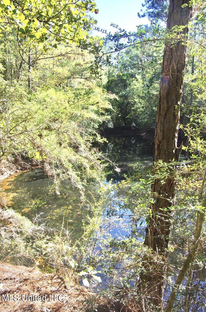 9630 West Oaklawn Road Biloxi, MS 39532 - Photo 27 of 57 Big Pond