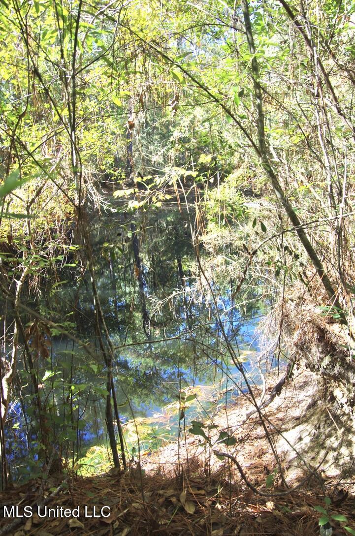 9630 West Oaklawn Road Biloxi, MS 39532 - Photo 29 of 57 Big Pond