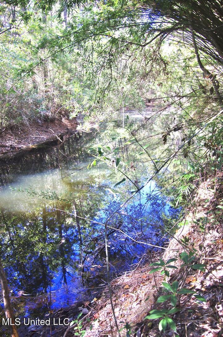 9630 West Oaklawn Road Biloxi, MS 39532 - Photo 30 of 57 Little Pond